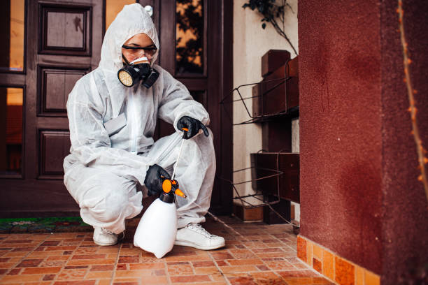 Attic and Crawl Space Rodent Treatment in Tremont